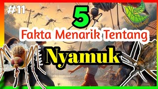 5 Fakta Menarik Tentang Nyamuk #nyamuk #edukasi