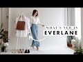 What's New In from Everlane + Try-On Haul - August 2018 | Dearly Bethany