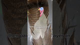 Painting A Turkey Feather!