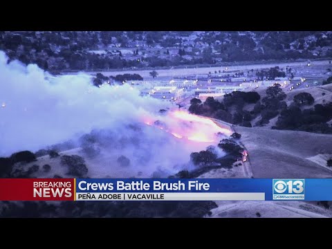 Crews Battle Brush