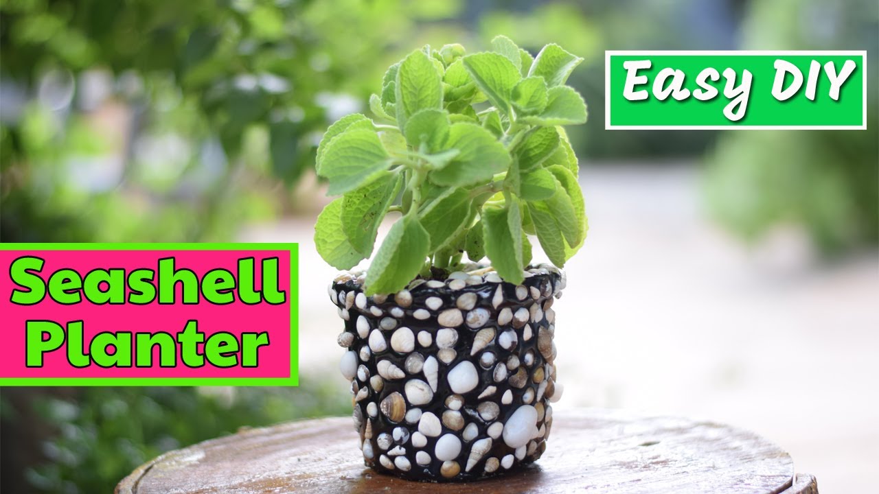 Easy DIY Seashell Planter 