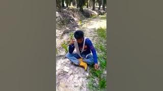 Viral Rantauan,anak Lombok lucu🤣😅😂