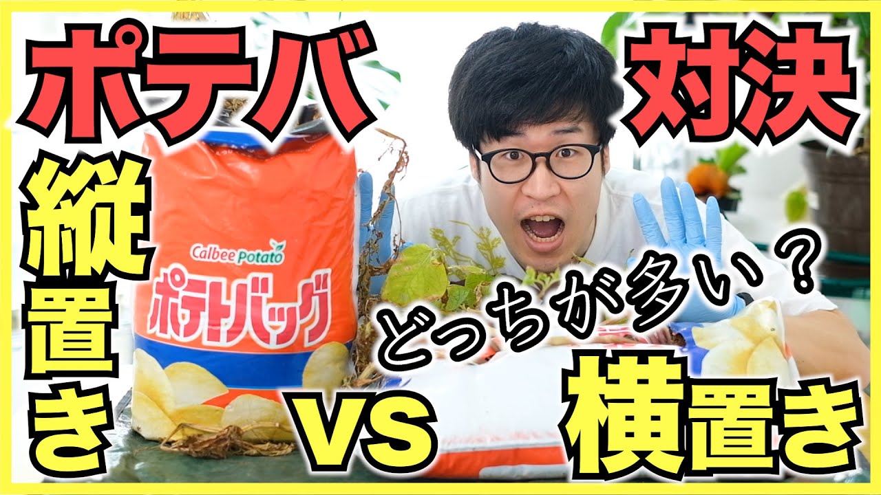 Nationwide Potato Bag Festival] Which produces more potatoes: a