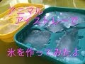 アニマルアイストレーで氷を作ってみたよ☆