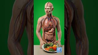 What Happens to Your Body If You Stop Eating Vegetables? #Vegetables #Nutrition #shorts