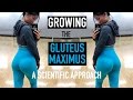 EXERCISES FOR GLUTE GROWTH & STRENGTH | A Scientific Approach to Training the Glutes