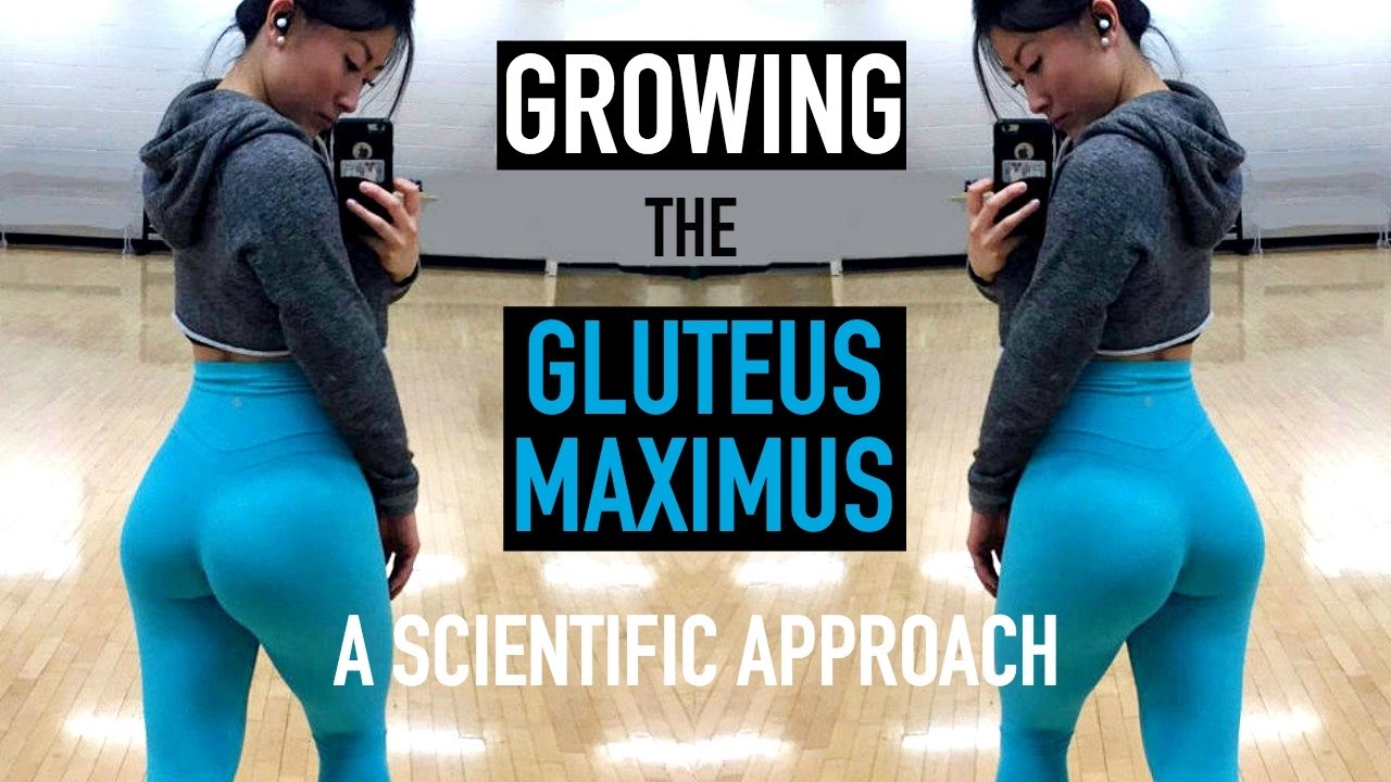 EXERCISES FOR GLUTE GROWTH & STRENGTH | A Scientific Approach to Training the Glutes