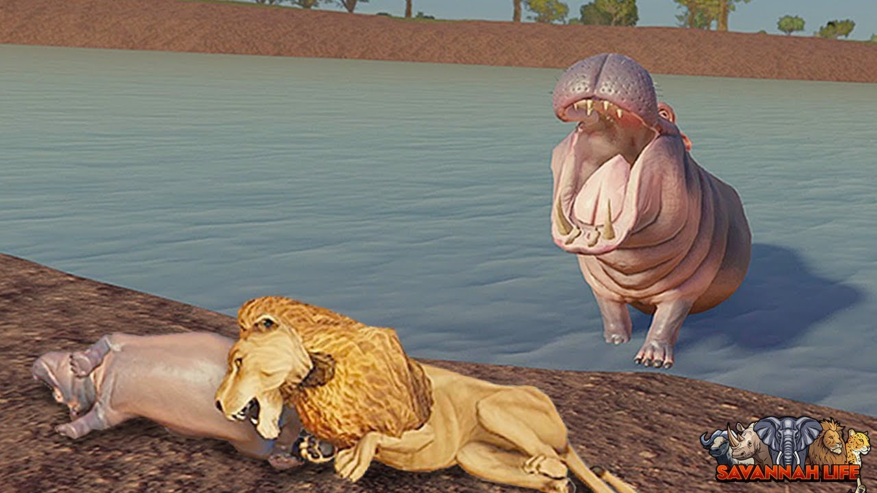 Прайд льва: охота на бегемотов и многое другое! | ROBLOX Savannah Life