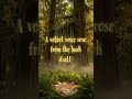 Threads the Forest Wove for Me 🌲 Links Below