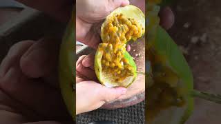 Bumbu rujak buah Markisa : 1. Cabe (Opsional) 2. Gula secukupnya 3. Garam Secukupnya. 4. Petis Mdr