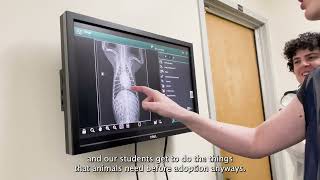 Famous Inside VTSU’s Vet Tech Program Profile