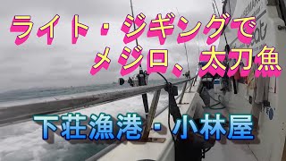 ライトジギングでメジロ、太刀魚爆釣