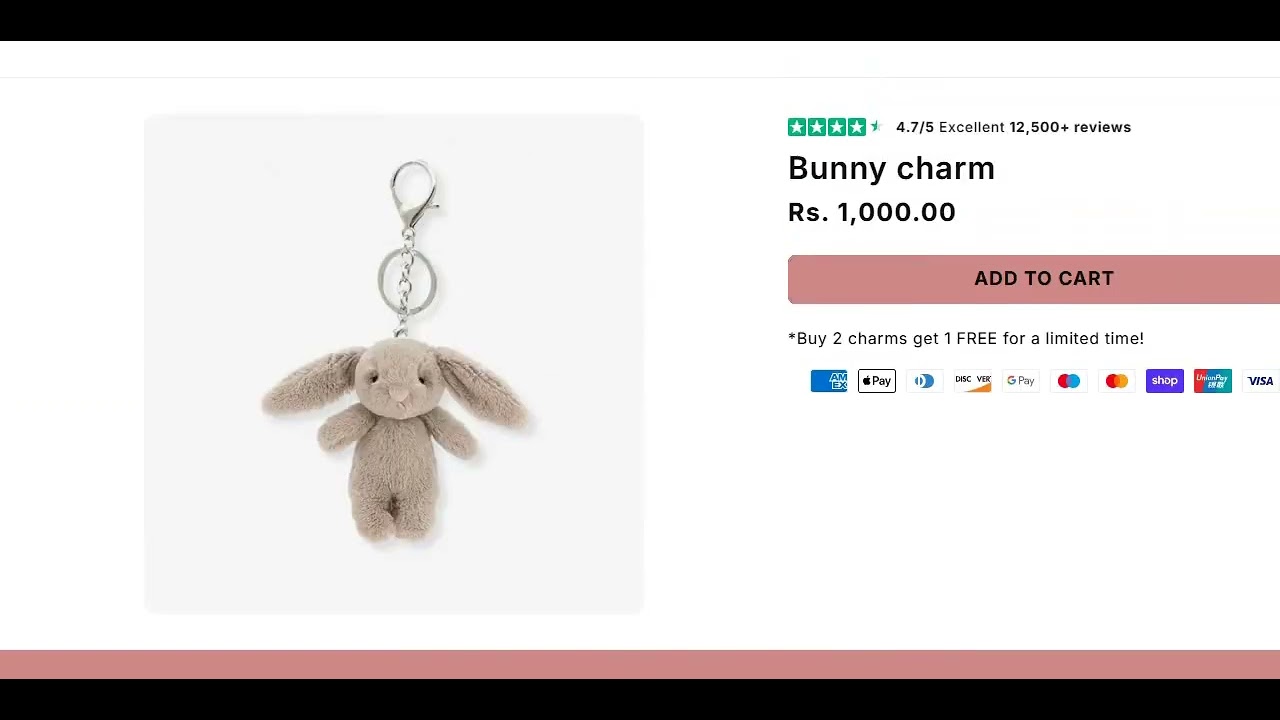 Обзоры Packuumbags.com: дизайн-проектирование продукции Packuum Bags — мошенничество или закон?