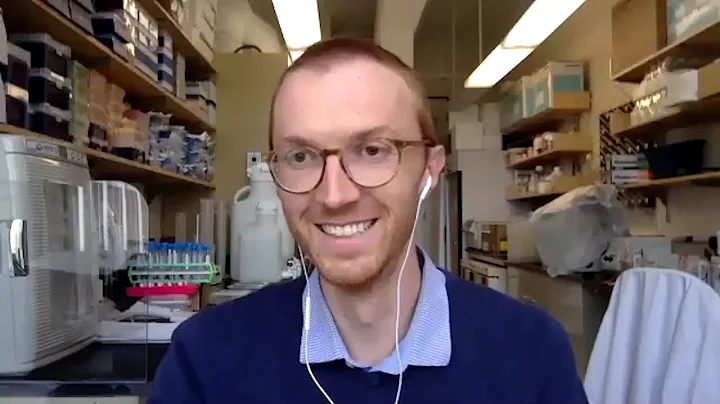 Atezolizumab + obinutuzumab + venetoclax in patients with R/R DLBCL