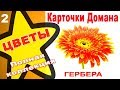 Карточки Домана Цветы часть 2