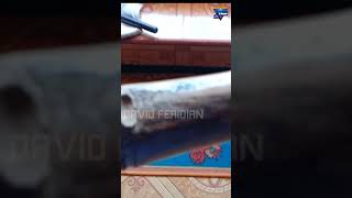 Pembuktian Bambu petuk asli #shorts  #bambu_petuk_asli #bambu_unik #benda_pusaka #berita_terkini