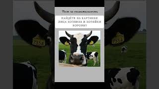 9 ноября 2025 г.