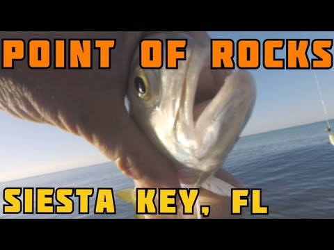 Point of Rocks Siesta Key fishing in the winter. Early morning top water action.