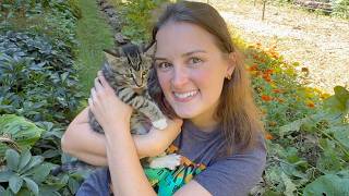 Cat & Kitten Update....Yall They Are So CUTE!