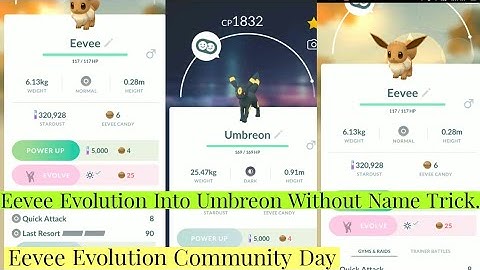 Eevee Evolution Into Umbreon During Community Day | Eevee Community Day Evolution | Eevee Pokemon Go