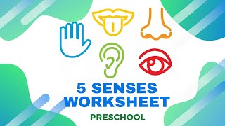 5 Senses Worksheet - Nursery