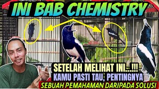 Download Lagu HANYA BEGINI SAJA ⁉️ DARIPADA SOLUSI ILUSI, PEMAHAMAN DASAR KACER GACOR BUKA EKOR ITU LEBIH PENTING