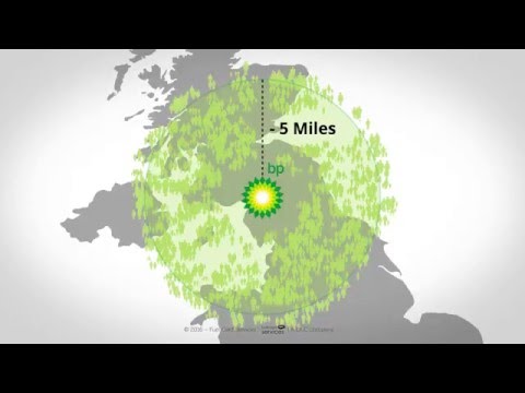 BP Bunker Fuel Card | Fuel Card Services