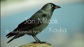 JÁN MILČÁK - KAVKA (1981) /SK ROZHLASOVÁ HRA