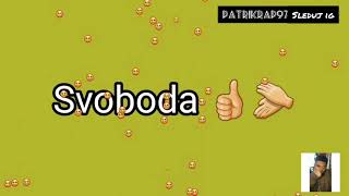 Dynamic - Svoboda ( #Lyrics video Patrik Rap) Text