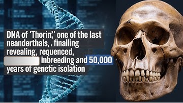 Thorin’s DNA: Revealing the Secrets of One of the Last Neanderthals!