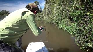 Maxima Tensión Con Caña Tech Frontier