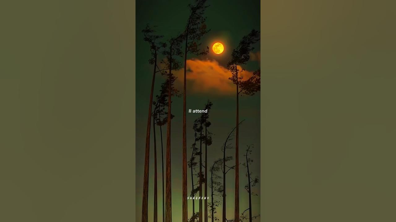 Love story - Indila π | aesthetic lyrics π¦... | whatsapp status | slowed | edit audio | #lyrics πΆπ₯β¨π Love story - Indila π | aesthetic lyrics π¦... | whatsapp status | slowed | edit audio | #lyrics πΆπ₯β¨π