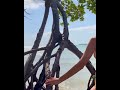 Celine Farach Beach Photoshoot 🌴