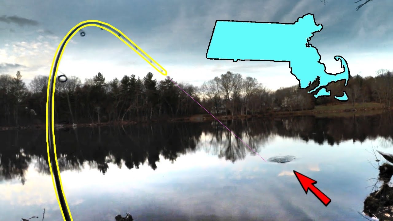 3 SPECIES!! Winter Fishing in DECEMBER (Massachusetts Bass Fishing)