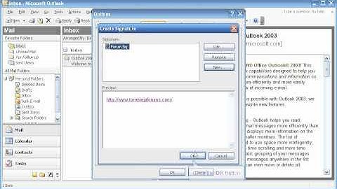 Outlook 2003_demo.avi