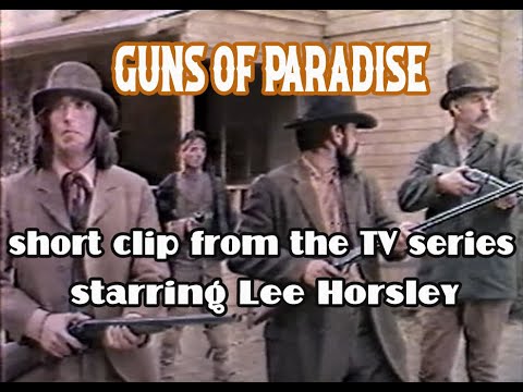 paradise guns