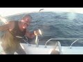 AKŞAM AVI 20,09,2025 #balık#kolyoz#istavrit#honda#marin#garmin#palamu#keşfet#mırmır#çapari #fishing