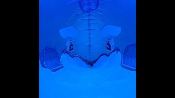 Inside a Double Layered Pool Toy Whale