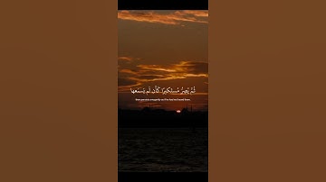 اكتب شيء تؤجر عليه 😴💚 قران كريم | ياسر الدوسري