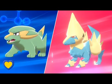 HOW TO Electrike into Manectric in Pokémon Sword and Shield