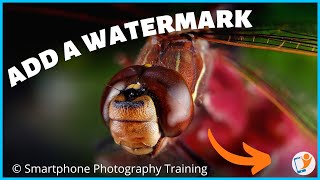 Watermark your photos - using these mobile apps screenshot 4