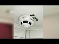 Chinese Couple Finds Hidden Cameras Inside Smoke Detectors at Airbnb in Taiwan