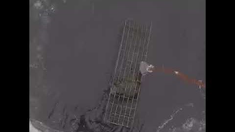 gopro checking muskrat trap