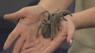 Wild About the Amarillo Zoo