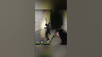 Destroying Cheaters in L4D2