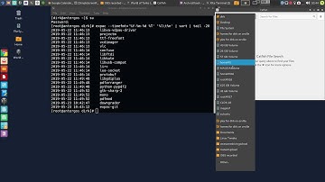 Arch roll back in case an update broke something