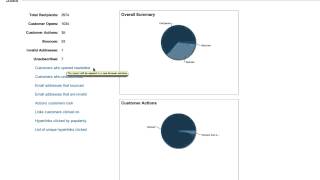 Business Catalyst Email Marketing Reports