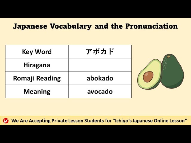 アボカド (abokado) | avocado | Japanese Vocabulary and the
