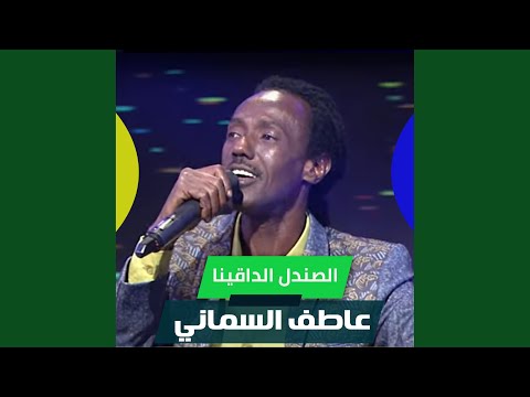 الصندل الداقينا