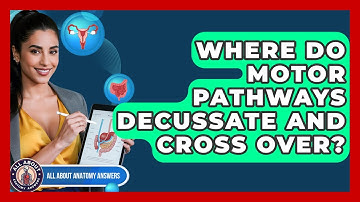 Where Do Motor Pathways Decussate And Cross Over? - All About Anatomy Answers